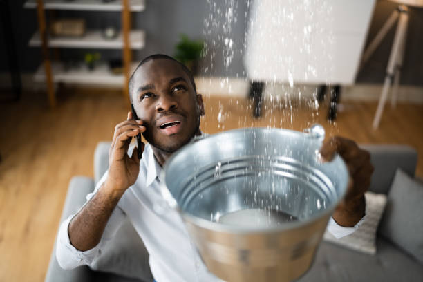 Best Water damage restoration process  in Virginia, MN