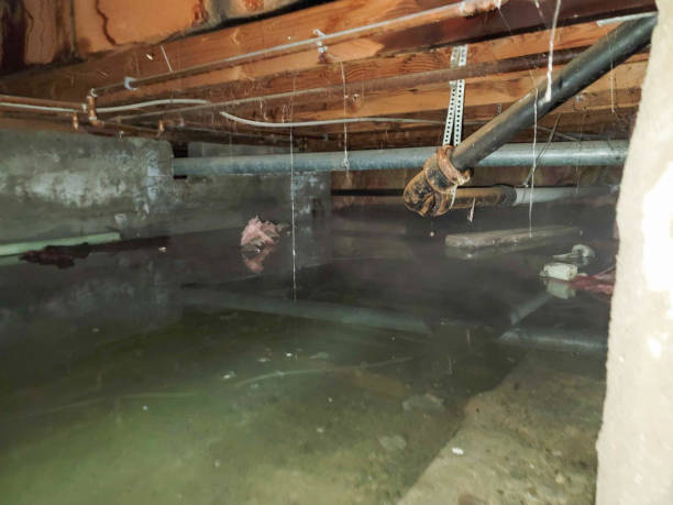 Water damage restoration process in Virginia, MN
