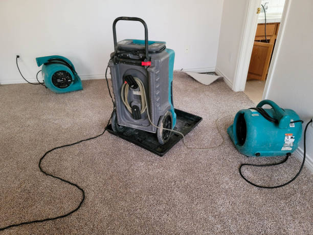 Best Water damage contractors near me  in Virginia, MN