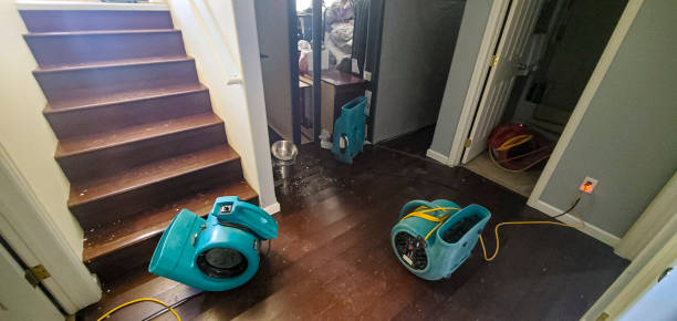 Best Water damage cleanup near me  in Virginia, MN
