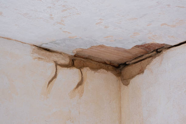 Best Water damage cleanup near me  in Virginia, MN