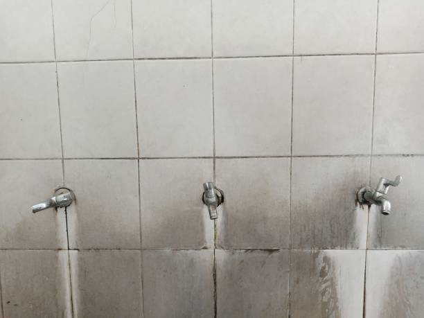 Best Commercial water damage restoration  in Virginia, MN