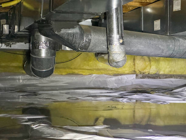 Best Fire Damage Restoration  in Virginia, MN