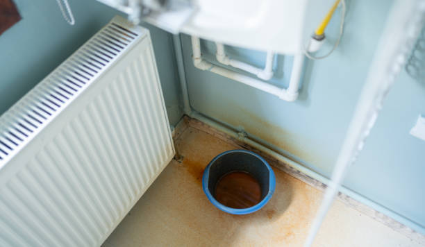 Best Water damage contractors near me  in Virginia, MN