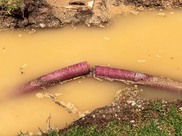 Best Sewage cleanup and water damage restoration  in Virginia, MN