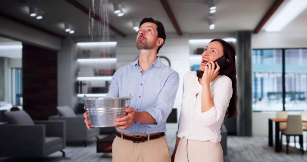 Best Flood restoration services  in Virginia, MN